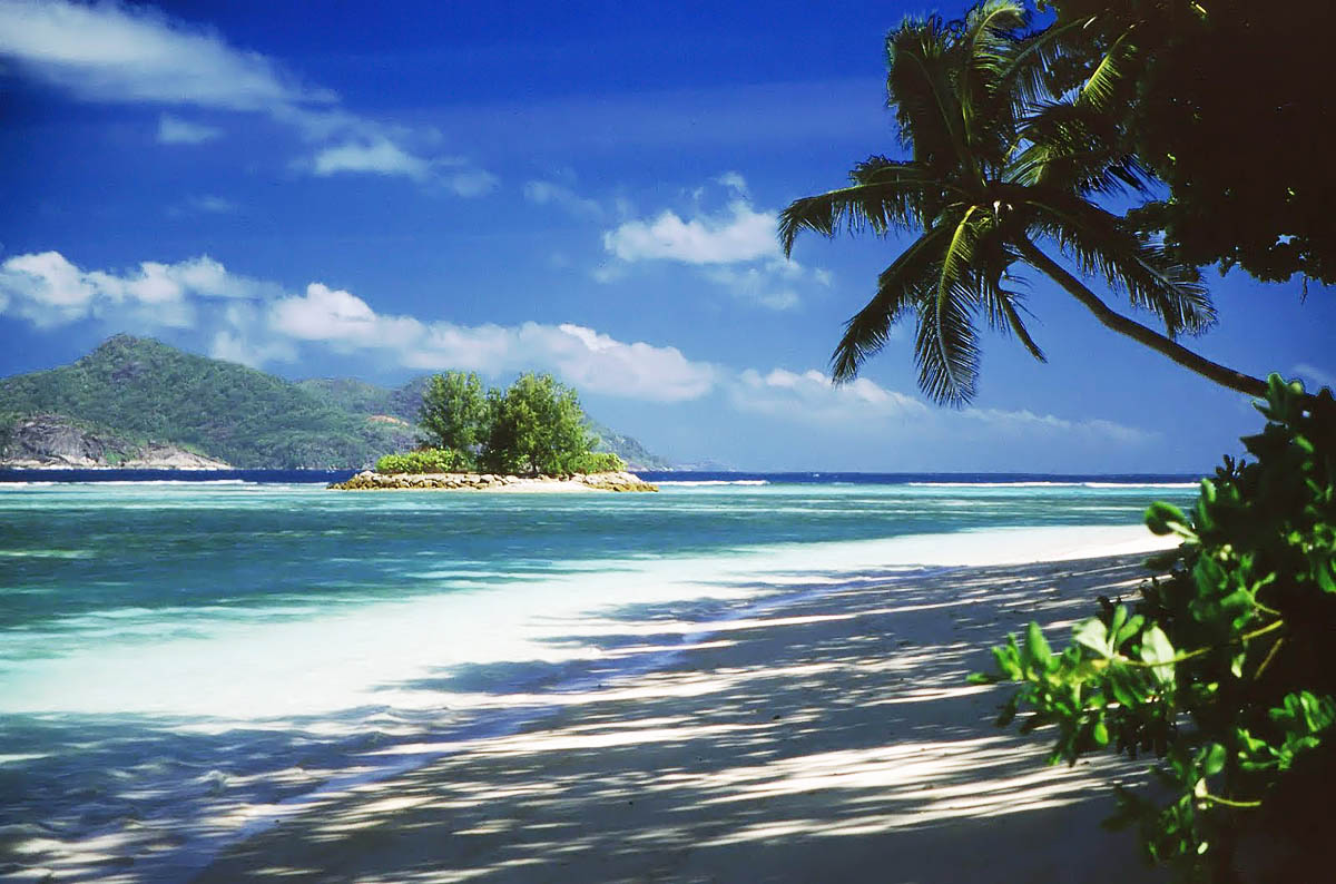 Про кокосовую воду