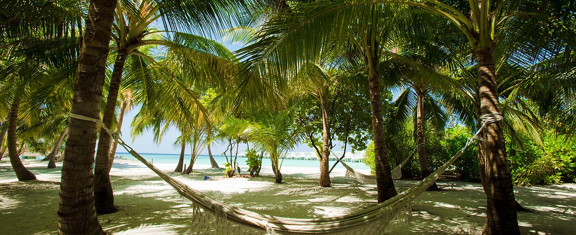 Ура! Конкурс!